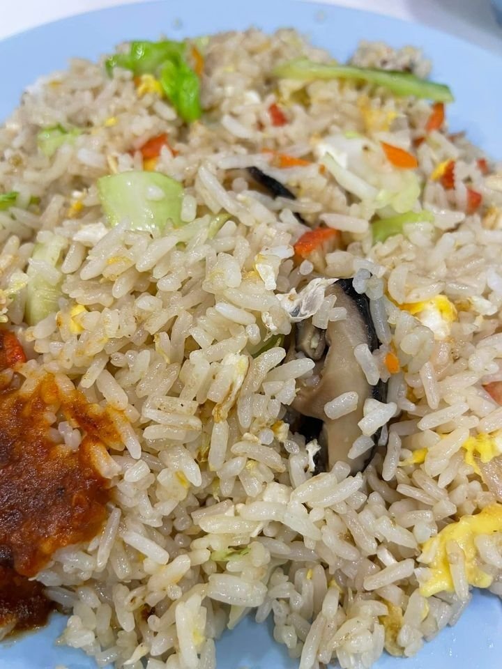 Close-up of vegetarian fried rice from Hwa Jin Vegetarian Family Restaurant, featuring rice mixed with visible green vegetables, carrots, mushrooms, and egg, served on a light blue plate with a dollop of chili paste.