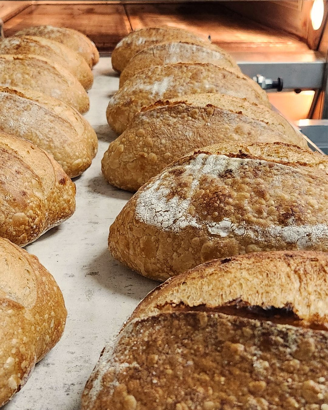 crispy crust sourdough bread
